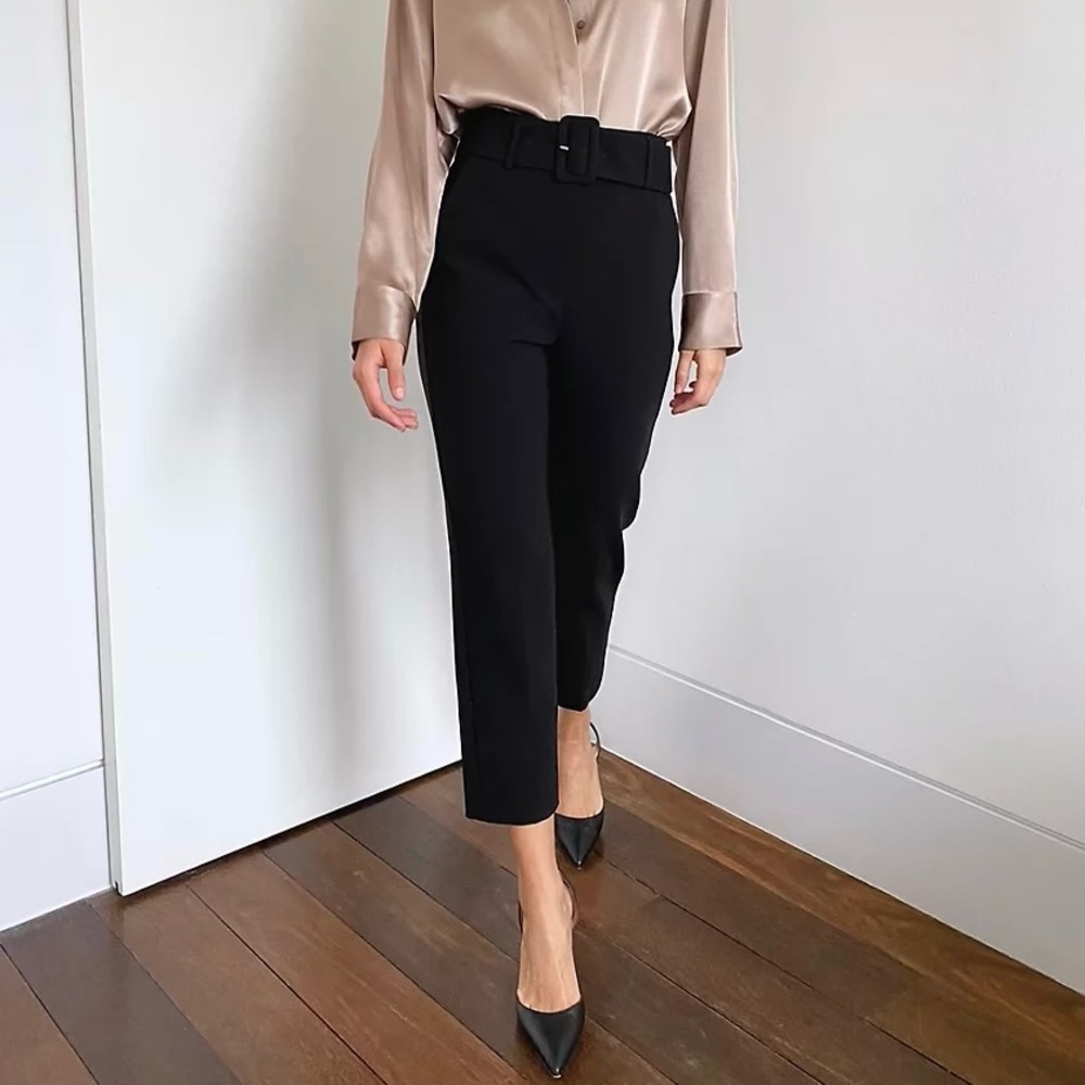 Aritzia Babaton Mayne Pant - Like New Condition